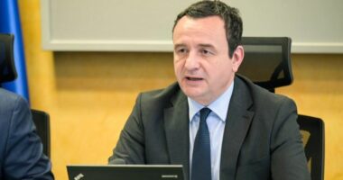 Kurti diskuton me deputetët britanikë për agresionin e bandave kriminale në veri të Kosovës