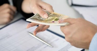 Leku 6 përqind më i fortë se euro/ BSH: Euro u dobësua në pjesën e parë të vitit pavarësisht ndërhyrjes