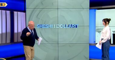 Ashensor për pallatet e vjetra/ Meçe: Teknikisht i realizueshëm, por i dështuar për mungesë të fondit të mirëmbajtjes