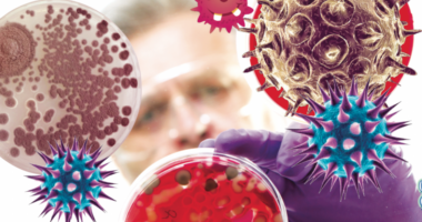 Shkencëtarët zbulojnë mikrobe “plastikë-ngrënëse”