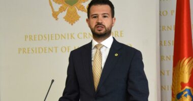 “Pa drejtësi, nuk ka rritje pagash”/ Milatoviç kundër kërkesës së gjyqtarëve të Malit të Zi