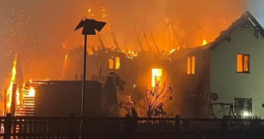 Shtëpia merr flakë, pronarët shpëtohen nga dy qen heronj