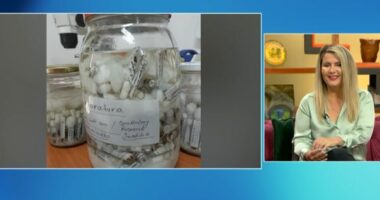 Koleksionon prej 16 vitesh merimanga dhe akrepa, pedagogia shqiptare zbulon sekretet: Luaj me to