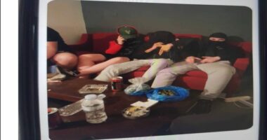 Grabitje dhe drogë, shkatërrohet banda shqiptare e të miturve në Greqi