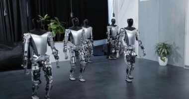 Tesla shfaq pamjet e reja të Robotit humanoid