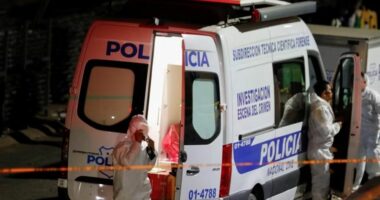 El Salvador/ Arrin në 12 numri i viktimave pas përplasjes së ashpër në stadium