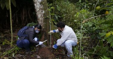 Shkencëtarët tani mund të mbledhin ADN-në e njeriut nga mostrat e tokës ose ujit