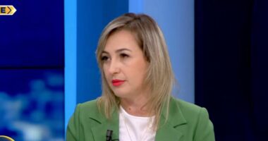 Subashi: Shqiptarët duhet të ngrihen në protesta për të drejtat e tyre, jo për partitë politike