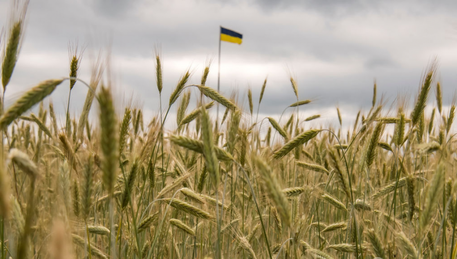 BE zgjat afatin për pezullimin e tarifave për importet nga Ukraina