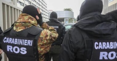 Operacion kundër grupit mafioz “Ndrangheta”, dhjetëra të arrestuar