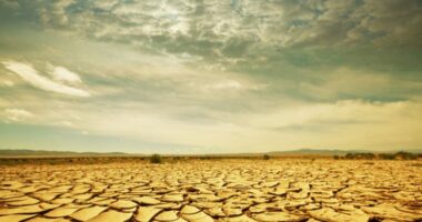 Dita Botërore kundër thatësirës