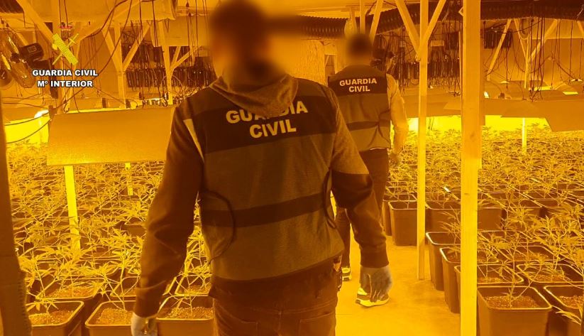 Shkatërrohet banda shqiptare e kultivimit të marijuanës në Spanjë