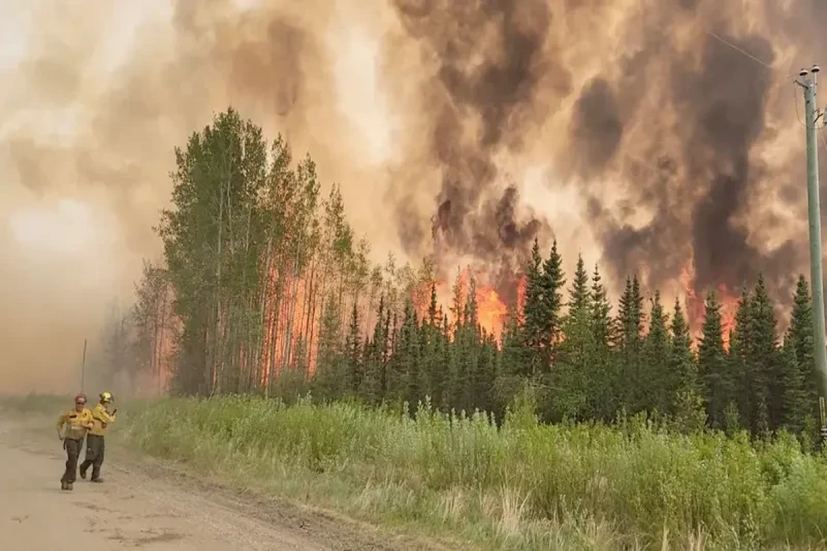 Zjarret në Kanada dogjën më shumë se 27 milionë hektarë në 2023