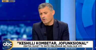 “Këshilli Kombëtar është jofunksional”, Zekthi: Kryesia e PD ka fuqinë për të hapur garën për kryetarin