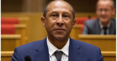 Gjithçka zyrtare, Philippe Diallo emërohet President i Federatës Franceze të Futbollit
