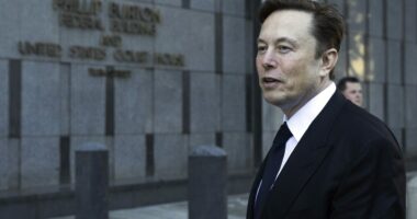 Parlamenti ukrainas kritikon Elon Musk pasi u tall me Zelenskyn