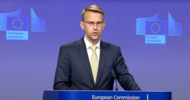 Zëdhënësi i BE-së: Edhe Serbia mund të përballet me sanksione nëse nuk kontribuon në shtensionimin e situatës