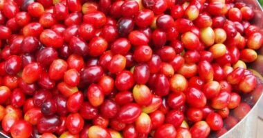 Kura e fuqishme me thana kundër problemeve me diabetin