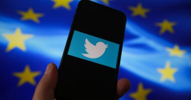 Twitter ashpërson masat për lajme të rreme, vendimi pas kritikave nga BE