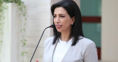 Lëndët prioritare, bursë për studentët/ Kushi: Sa paga minimale për të rinjtë që ndjekin degët prioritare