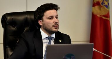 Mal i Zi/ Abazoviç thërret sot seancë të jashtëzakonshme të Këshillit të Sigurisë Kombëtare