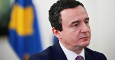 Kurti përplaset me Devolli Group/ Kosovë, qeveria shfuqizon licencat për 15 biznese të këtij grupi