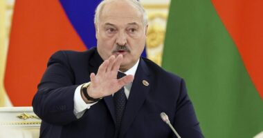 Lukashenko: Bjellorusia i mbijetoi sanksioneve perëndimore