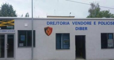 EMRAT/ Sherr për pronat, vëllezërit përleshen fizikisht në Dibër