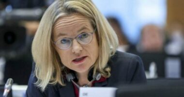 “Kosova po humbet kredibilitetin”/ Eurodeputetja Viola Von Cramon kritika për qëndrimet e Prishtinës