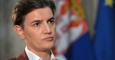 Bërnabiç: Prishtina do të përpiqet t’i shtyjë zgjedhjet, duhet të formohet Asociacioni