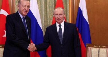 Tensionet me Wagner/ Putin zhvillon bisedë telefonike me Erdogan