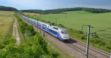 U futën në shina, treni përplas 10 lopë në Francë