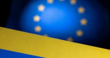 Ukraina plotëson dy nga shtatë kushtet për të nisur bisedimet e anëtarësimit në BE