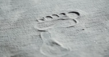 Zbulimi i gjurmës më të vjetër mund të ndryshojë rrjedhën e historisë njerëzore