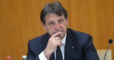 Ministri i Brendshëm serb: Ne e dimë se kush e ka vrarë Oliver Ivanoviçin