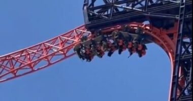 Video/ Argëtimi kthehet në ferr në Kinë, ja çfarë ndodhi në parkun e lojërave