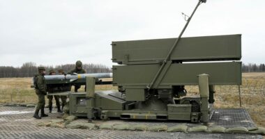 Lituania blen sisteme raketore të mbrojtjes ajrore për t’ia dhënë Ukrainës