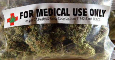 Kriteret për kanabisin mjekësor/ Licensë vetëm për ata që kanë eksperiencë të paktën 3 vite