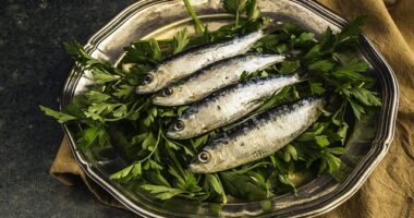 Një profesor nga Harvardi shpjegon se cili lloj peshku është më i shëndetshëm për t’u ngrënë