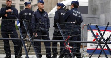 Operacion antimafia në Belgjikë, 8 të arrestuar