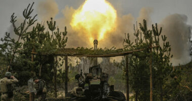 A mund t’i mbijetojë demokracia polikrizës?