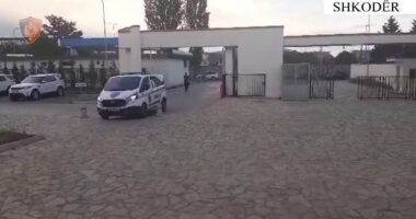 Shkodër/ Përplasi për vdekje të moshuarën që po lëvizte me biçikletë, arrestohet 53-vjeçarja