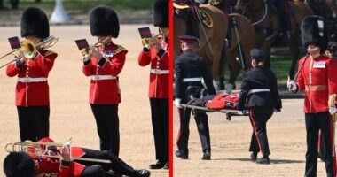 Tre anëtarë të Gardës Mbretërore nuk e durojnë dot vapën, i bie të fikët ‘LIVE’