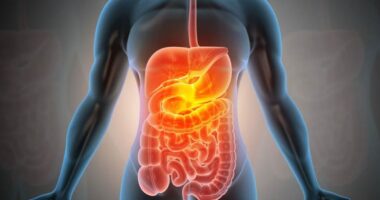 Tre këshillat kryesore për tretje më të mirë