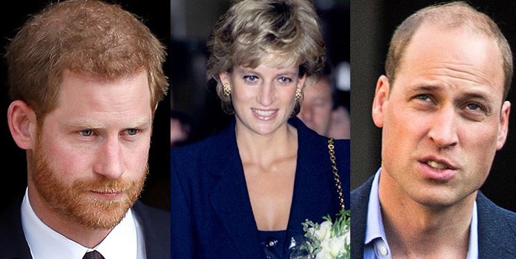 William dhe Harry lënë mënjanë grindjet e tyre për të nderuar Princeshën Diana