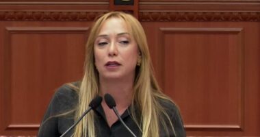 “Programi nuk është ndaluar”, Krifca: Jemi të interesuar për të bashkëpunuar me OLAF