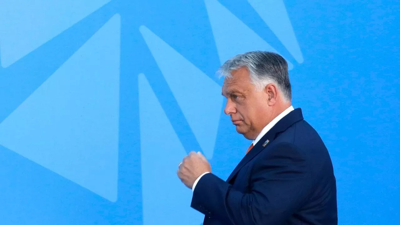 “Jo më armë për Kievin, tani paqe”, Orban: NATO është një aleancë mbrojtëse