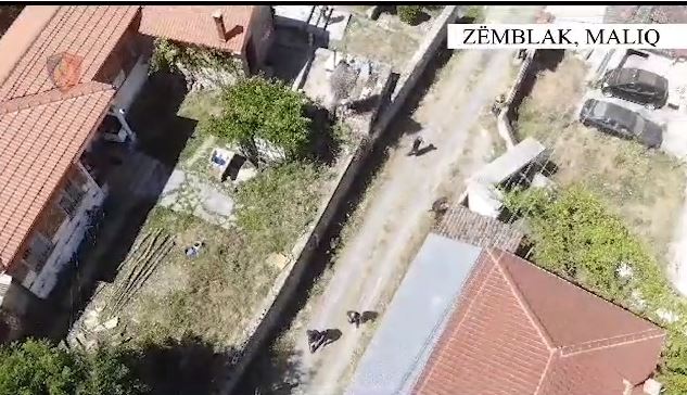 VIDEO/ Qëlloi dy herë ndaj policisë dhe vrau veten me plumb në mjekër, dalin pamjet me dron të operacionit në Maliq