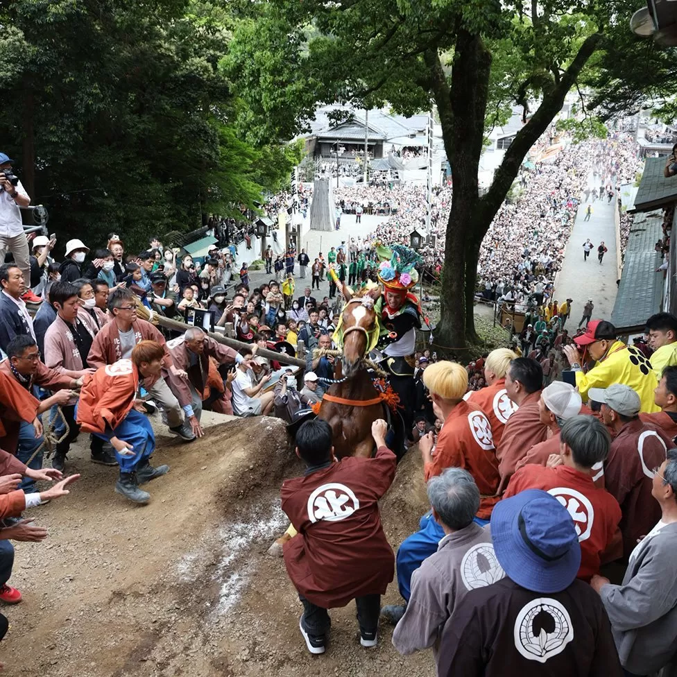 Japoni, njerëzit protestojnë për ngordhjen e kalit gjatë festivalit të famshëm