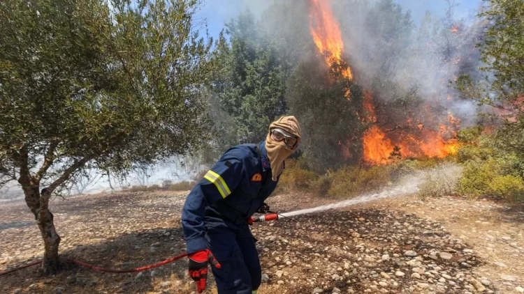 Dhjetëra persona të vdekur nga zjarret në Mesdhe